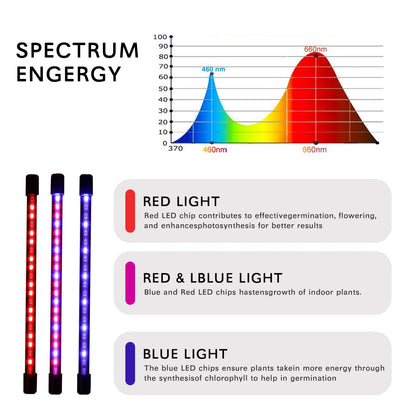 Sprout Grow Light | USB Full Spectrum Plant Lamp