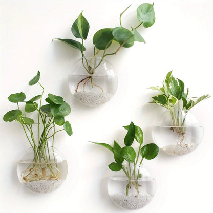 Bubble Wall Terrarium | Hanging Glass Hydroponic Planter