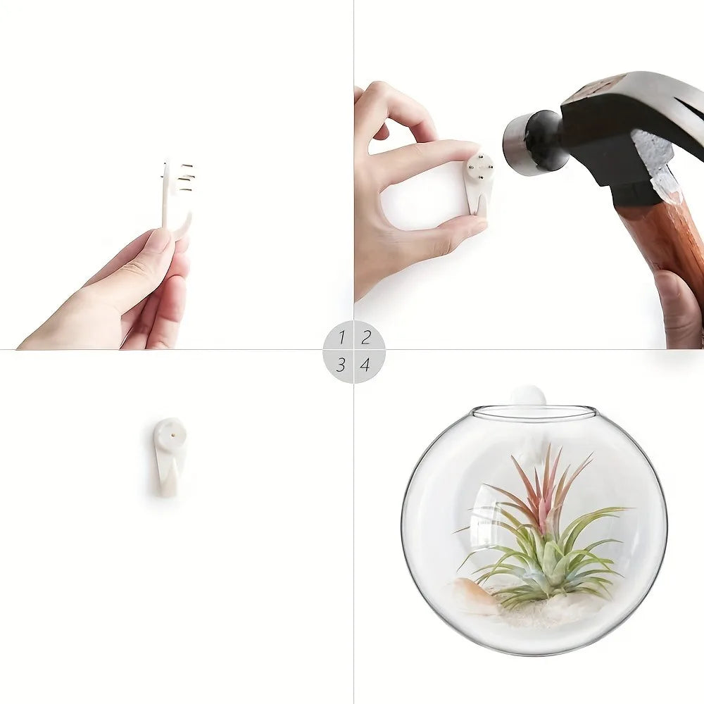 Bubble Wall Terrarium | Hanging Glass Hydroponic Planter