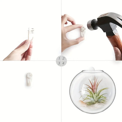 Bubble Wall Terrarium | Hanging Glass Hydroponic Planter