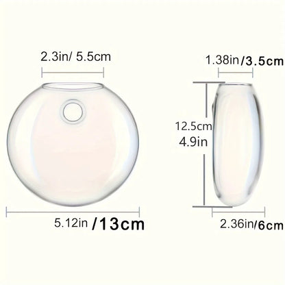 Bubble Wall Terrarium | Hanging Glass Hydroponic Planter