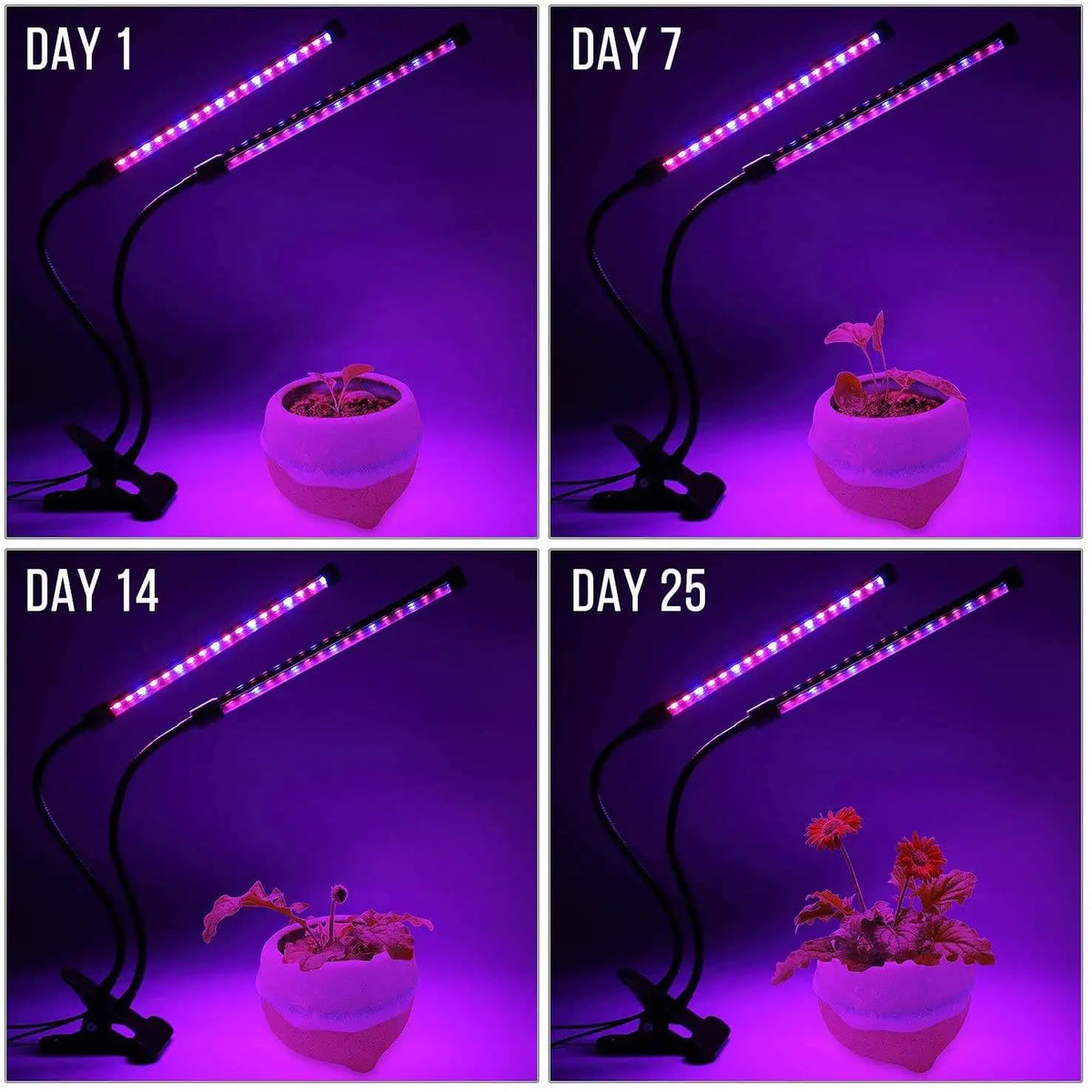 Sprout Grow Light | USB Full Spectrum Plant Lamp