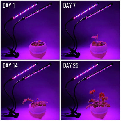 Sprout Grow Light | USB Full Spectrum Plant Lamp