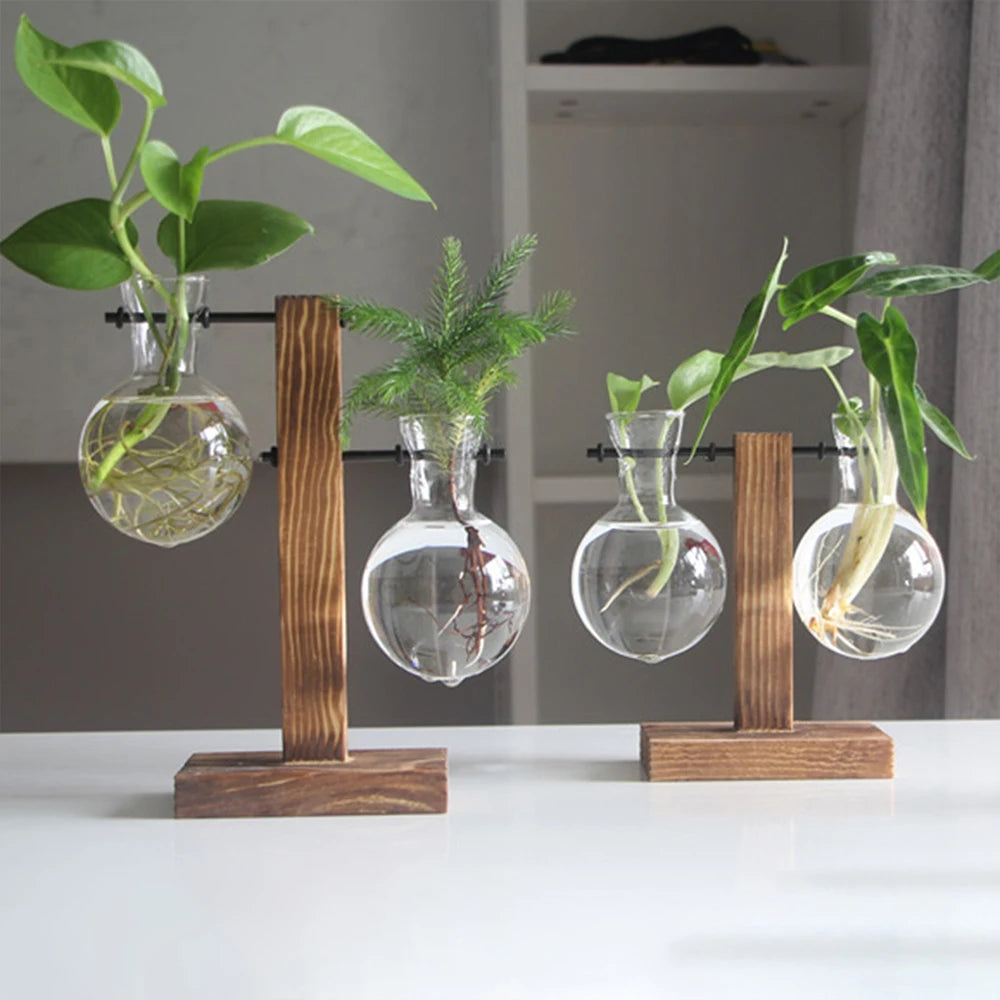 Arbor Bulb Vase | Glass Propagation Station with Wood Stand